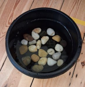 stones in a bowl
